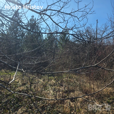 Продавам дървена вила над Белия кон и Рай, снимка 7 - Вили - 53897164