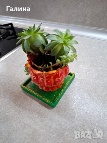 Декоративна саксийка с цвете, снимка 3 - Градински цветя и растения - 51673812