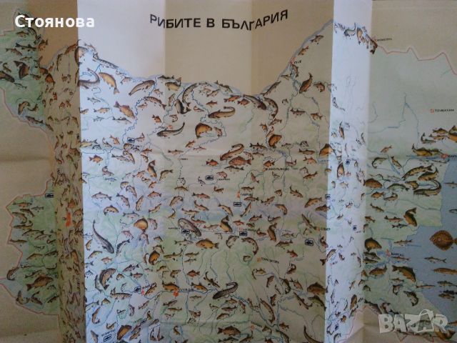 Карти "Рибите в България" и "България защитени природни обекти" , снимка 3 - Енциклопедии, справочници - 45190986