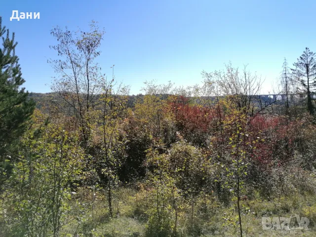 Къща с парцел в с. Елешница София бартер , снимка 3 - Къщи - 50414658