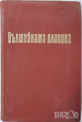 Вълшебната планина, Томас Ман(14.6), снимка 1 - Художествена литература - 46498999