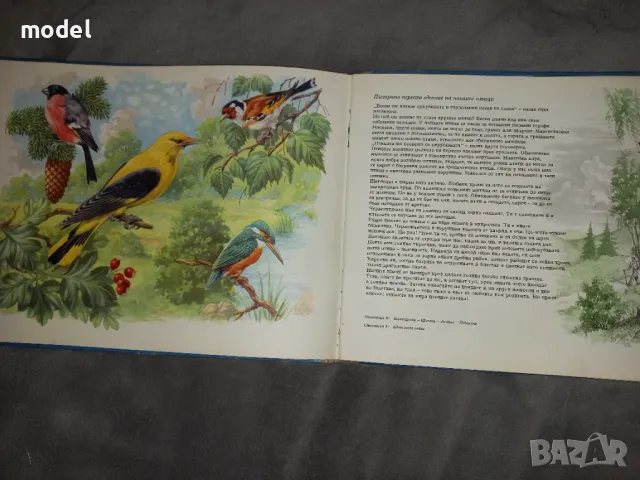 Чудеса на природата Педагогическа картинна книжка , снимка 5 - Енциклопедии, справочници - 49781344