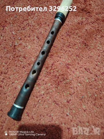 Гайдуница Сол