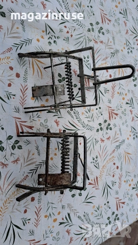 Капан за къртици