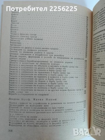 Дворна градина, снимка 10 - Специализирана литература - 51093439