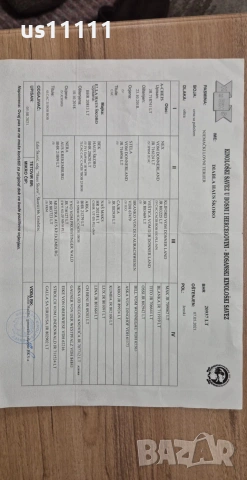 женски ягдтериер , снимка 4 - Ягдтериер - 53744844