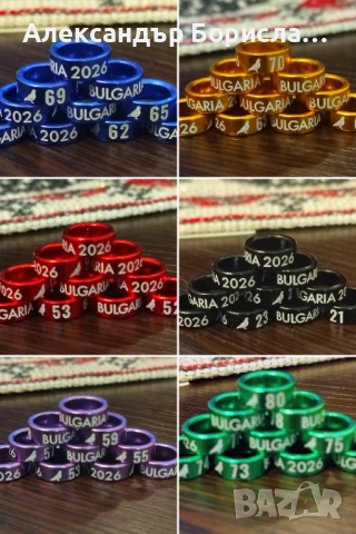 Пожизнени пръстени за 2026г., снимка 2 - За птици - 48763435