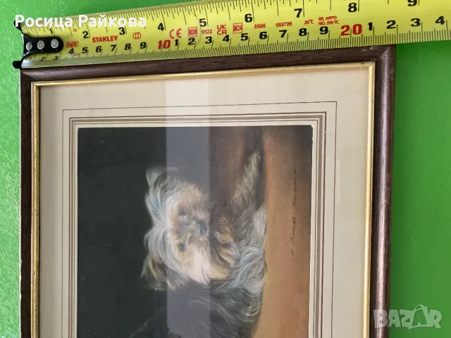 Картина с кученце, снимка 4 - Картини - 50021907