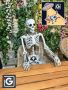 Човешки скелет в действителен размер 170 см - макет на скелет, снимка 1 - Декорация за дома - 45685911