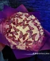 🦋✨ Букет „Полет от пеперуди“ – нежност, уловена в миг! ✨🦋, снимка 12