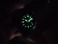 Seiko mod Cammo dial, снимка 10