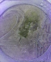 2 euro coin . монета от 2 евро, снимка 1