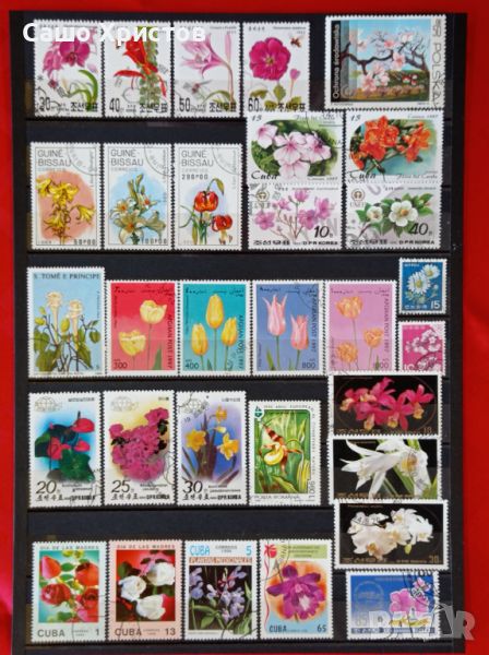 Пощенски марки тема ”Растения”., снимка 1