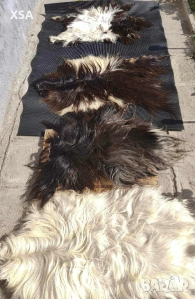 Естествени кожи от коза, снимка 1