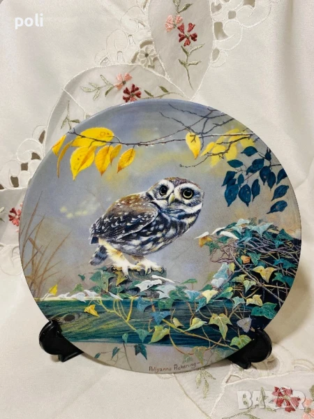 порцеланова чиния за стена , снимка 1