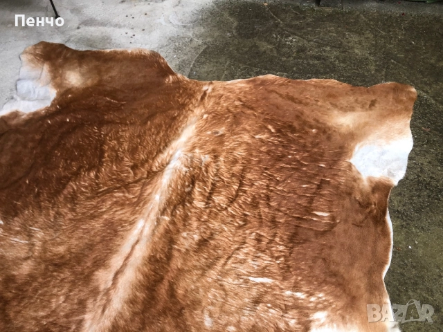 килим естествена ТЕЛЕШКА КОЖА, снимка 4 - Антикварни и старинни предмети - 51059292