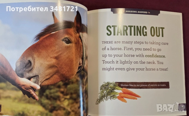 Грижа за конете / Caring for Horses, снимка 4 - Енциклопедии, справочници - 53748583