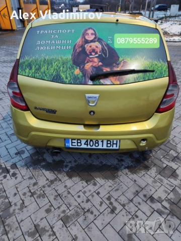 Транспорт за домашни любимци , снимка 2 - Транспортни услуги - 53315560