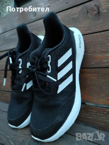 Дамски спортни обувки Adidas Bounce, снимка 11 - Маратонки - 39441689