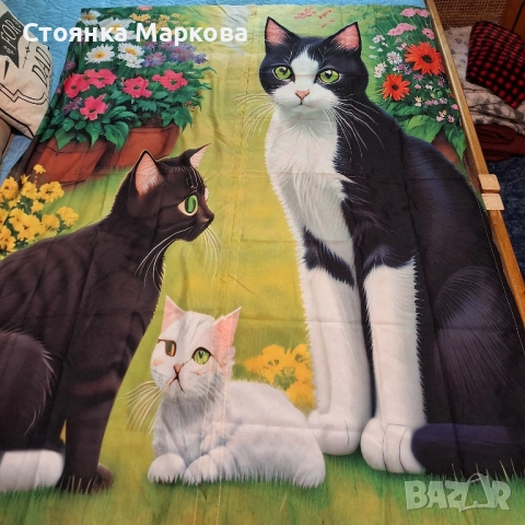 Нови завески с котета