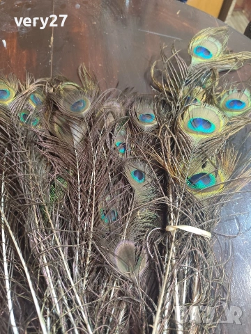 пера от пауни