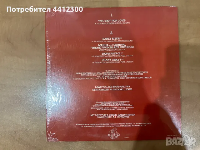 Грамофонна плоча 12”, снимка 2 - Грамофонни плочи - 50114763