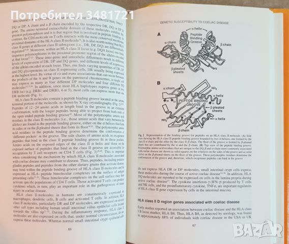 Злокачествени заболявания и хронични възпаления в стомашно-чревния тракт / Malignancy and Chronic In, снимка 6 - Специализирана литература - 46497170