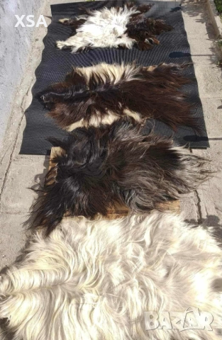 Естествени кожи от коза