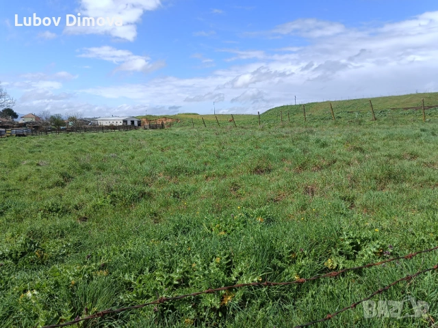 Дворно място 