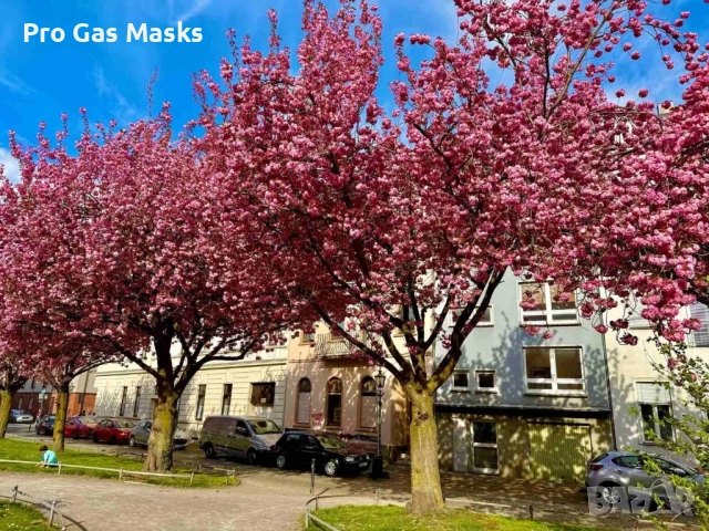 СПЕШНО Сграда 5 апартамента Германия Крефелд 350 кв м само за 350 000 евро. Цената е само до края на