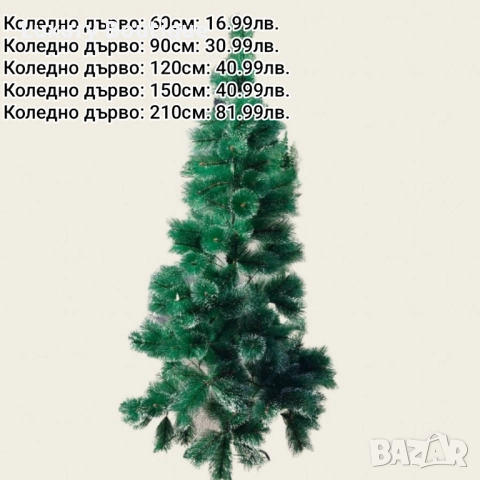 коледно дърво 