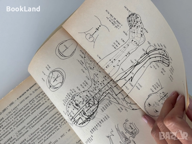 Чжен - Цзю - Ксюе. Анатомия и физиология на акупунктурата. Том 1. Убождане и обгаряне на точки| Абу, снимка 9 - Художествена литература - 51821760