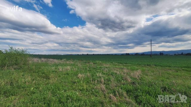 Атрактивен имот в местност Чойна Мусачево, снимка 6 - Парцели - 45388473