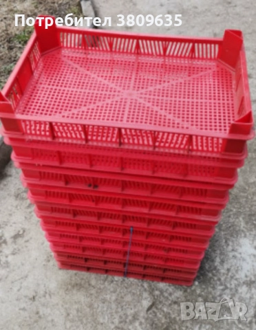 Каси за ягоди