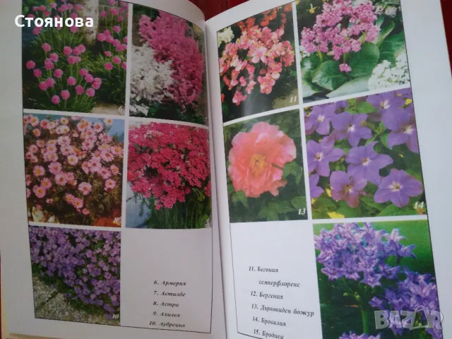Книги за цветята: "Цветя в градината" Анка Дончева и "400 цветя за дома" , снимка 6 - Специализирана литература - 49783135
