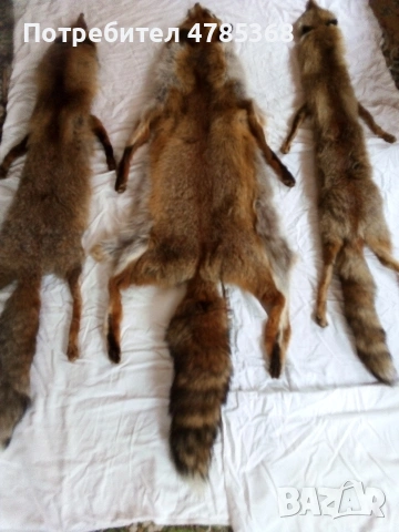 НОВИ палта Лиси косъм+Астраганено+Лиси яки с щипка, снимка 6 - Палта, манта - 54113929