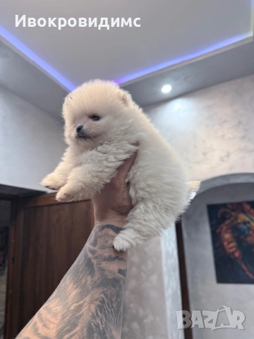 Две момичета и едно момче 