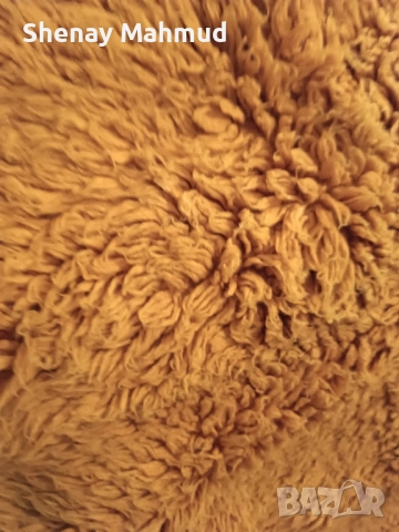 Китеник оранжев.