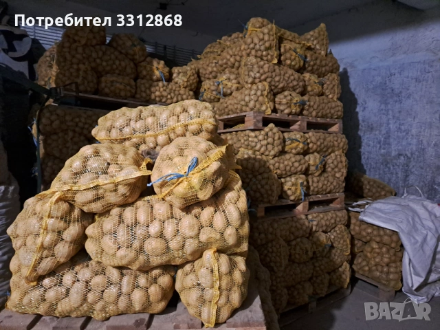 Картофи. РАВНОГОРСКИ, снимка 2 - Обзавеждане за заведение - 53466639