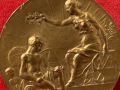Медал Международно изложение Париж Франция 1910 г. ?, снимка 4