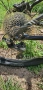 MTB Specialized 29', снимка 12