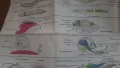 Биология 7 клас Народна Просвета 1987, снимка 15