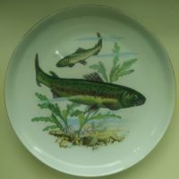 Порцеланови чинии с рисунки на различни риби , снимка 3 - Въдици - 45356450