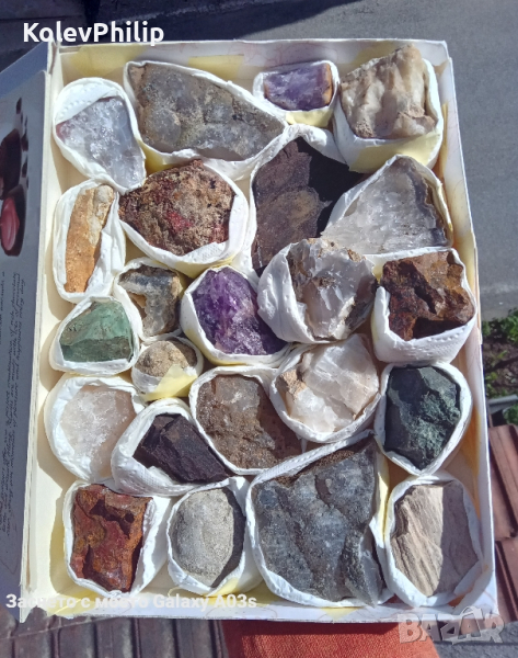 Кутия с минерали, фосили и вкаменени дръвчета , снимка 1
