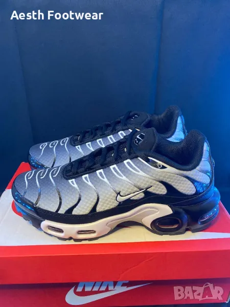 Мъжки Маратонки Nike Air Max TN Wolf Grey , снимка 1