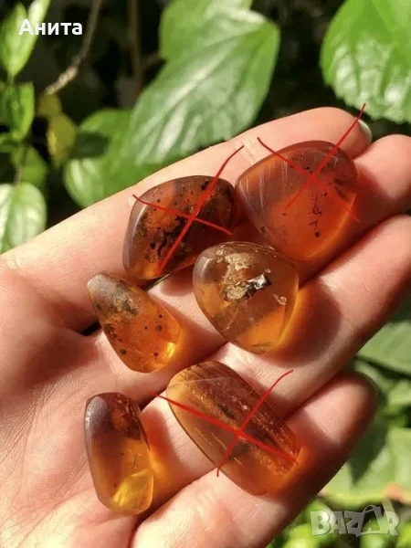 Бирмански кехлибари с включения, снимка 1