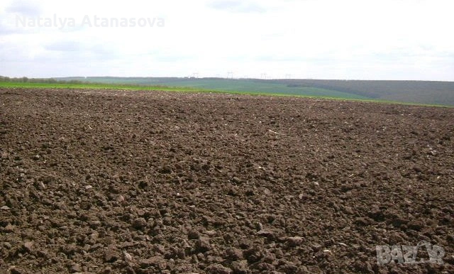 Парцел за продажба в Ведрина, Добрич, снимка 8 - Парцели - 53634666