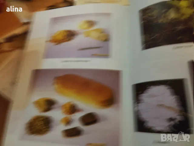 ДРОГИТЕ от Разум Даскалов, снимка 2 - Специализирана литература - 49945706