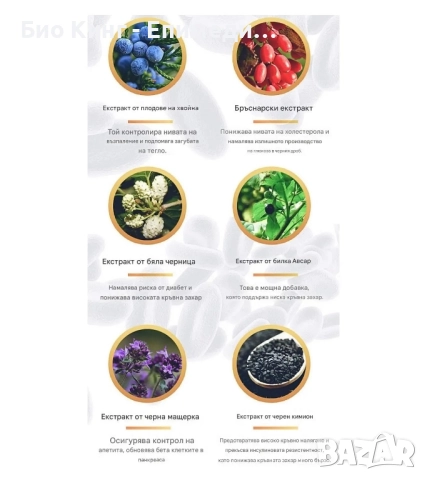 INSUNOL Macun - билкова паста/меласа за балансиране на кръвна захар/диабет 240 гр., снимка 4 - Хранителни добавки - 52046867