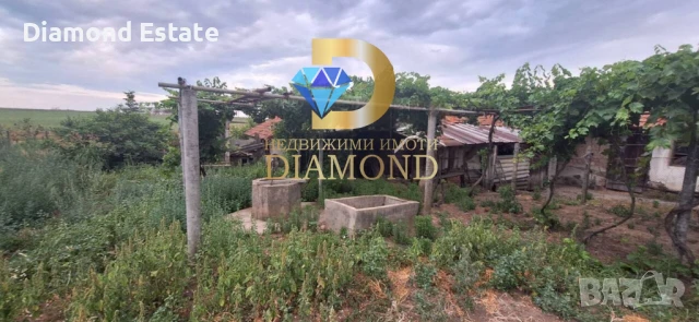 Едноетажна къща в село Криво поле, обл. Хасково, снимка 7 - Къщи - 50961391